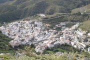AYUNTAMIENTO DE VELEFIQUE