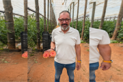 Diego Frías, gerente de Terra Agronómica con un tomate rosa de Almería.