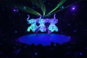 Escena de ‘El Circo de la Luz’ durante una de sus funciones en Almería.
