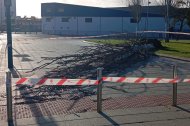 Árbol caído por las fuertes rachas de viento en Almería capital.
