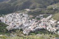 AYUNTAMIENTO DE VELEFIQUE