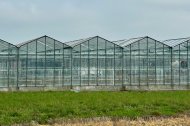 Invernaderos de cristal.