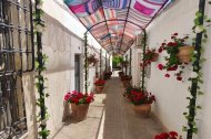 Una de las calles de Lucainena de las Flores