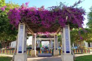 Las buganvillas han crecido en las pérgolas del parque de Plaza de España creando un túnel de color y sombra.