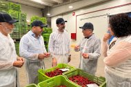 Fernández-Pacheco visita la cooperativa Cabasc en Balanegra (Almería)