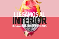 Innovación y transferencia en el sector agroalimentario de la mano de Cooperativa La Palma y Caja Rural de Granada en el 4º Congreso “Agricultura con propósito” de Tropicales