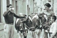 La calle Marco o de las posadas en el verano de 1936. El lechero ambulante, con su hijo y dos vacas, servía la leche recién ordeñada a los clientes.