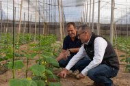 La cooperativa destaca el esfuerzo, la capacidad de innovación y la dedicación de los profesionales del campo y en especial de sus más de 3.700 socios