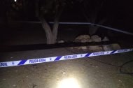 Zona acordonada en el parque en el que fue hallado el cadáver de un perro enterrado.