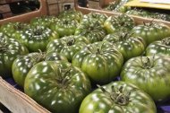El tomate raf alcanza en estas fechas su máxima calidad