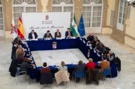 Reunión de la Diputación de Almería con los alcaldes y alcaldesas.