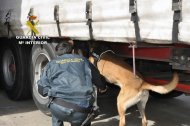 La Guardia Civil revisa con ayuda de un perro un camión en el Puerto de Almería.