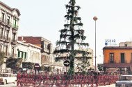 Un pino con re galos y luces era suficiente para crear ambiente de Navidad en la Puerta de Purchena hace 50 años.