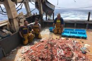 Capturas de marisco de un barco de la provincia.