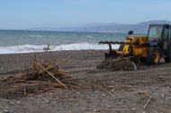 Imagen de la limpieza de playas en El Ejido.