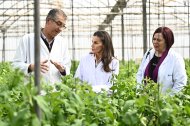 La reina Letizia, conociendo de cerca el trabajo de investigación que se realiza en la Estación Experimental Cajamar Las Palmerillas de El Ejido, en Almería.