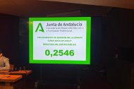 JUNTA DE ANDALUCIA