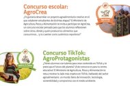 Concursos escolares.