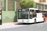 Almería cuenta con 16 líneas regulares.