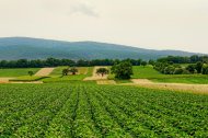 Para ASAJA Almería, esta actuación no debe limitarse al interior de las explotaciones, sino que requiere también prestar atención al entorno agrícola