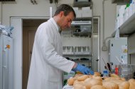 El desperdicio alimentario supone una oportunidad para la innovación agroalimentaria: desde la anticipación de las enfermedades del campo hasta las mejoras de almacenamiento. La innovación aplicada a toda la industria y a escala real producirá un gran impacto