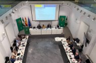 Reunión de Direcciones Generales de Protección Civil en Sevilla.