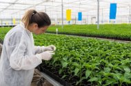 ●	Organizado por Agromarketing España, con la colaboración de ASEHOR y el Ayuntamiento de El Ejido, el evento mantien abiertas sus inscripciones en www.semillerosforum.es.