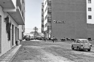 Uno de los solares del barrio del Zapillo en los años 70, cuando todavía cruzaban por allí los rebaños de cabras que venían de la vega.
