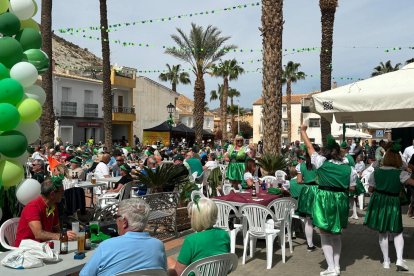 Fiesta de San Patricio en la Plaza del Olmo de Zurgena en 2024.