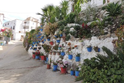 Mucho colorido en las calles de Darrícal.