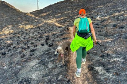 Sendero entre los barrancos del Pollo y del Cura en Huércal de Almería.
