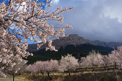 Una zona del Parque Natural Sierra María-Los Vélez.