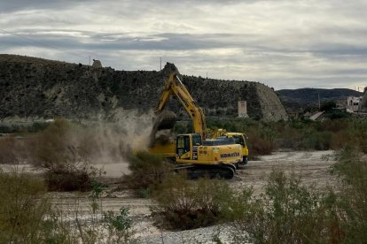 Comienzan los trabajos de limpieza y acondicionamiento en el río Almanzora a la altura de Zurgena.