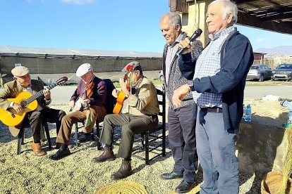 La Universidad Permanente de la Universidad de Alicante (UPUA) ha desarrollado el proyecto piloto “Aula en Ruta”, con 40 participantes del curso Homo Artisticus