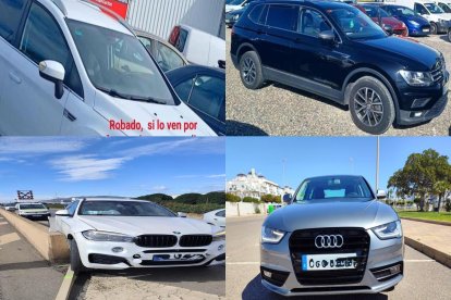 Algunos de los vehículos robados en Roquetas de Mar.