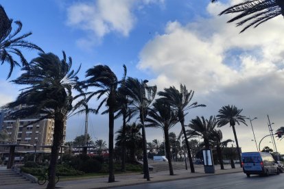 EUROPA PRESS - Archivo