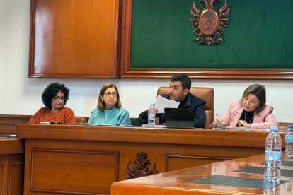 El alcalde y ediles durante el Pleno celebrado en Mojácar el 29 de enero.