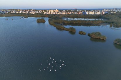 Salar de los Canos de Vera.