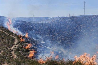 Incendio declarado en el municipio de Carboneras esta mañana.