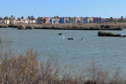Así luce a día de hoy el Salar de los Canos de Vera.