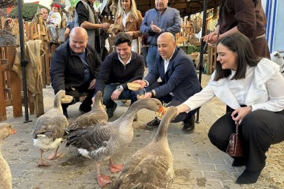 Archivo - Celebración del Día del Villazgo en Huércal-Overa.