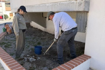 Rescate agrícola en Laujar: las uvas que casi se pierden para siempre vuelven a brotar.