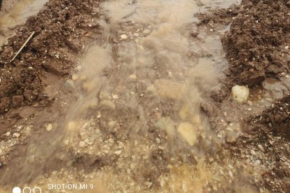 -	COAG Almería denuncia que este hecho evidencia un trato discriminatorio entre territorios y advierte de que, si no se produce una respuesta en los próximos días, el sector retomará las movilizaciones aplazadas