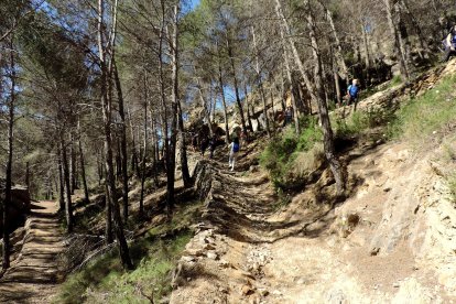 Zig-zag en el sendero.