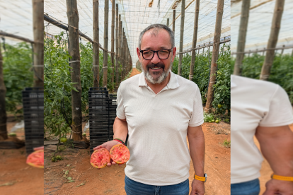 Diego Frías, gerente de Terra Agronómica con un tomate rosa de Almería.