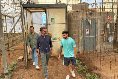 Visita del consejero Fernández-Pacheco a la explotación agraria de uno de los beneficiarios, en Níjar.