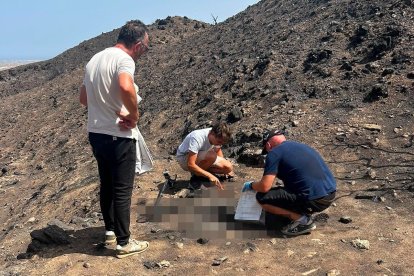 Un agente de la Guardia Civil, recogiendo restos óseos un mes y medio después del incendio en presencia del hijo de una de las víctimas y el alcalde de Bédar.