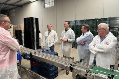 El alcalde de Níjar, José Francisco Garrido, acompañado por el concejal de Servicios, Juan Carlos Agenjo, ha visitado invernaderos y empresas agrícolas del municipio