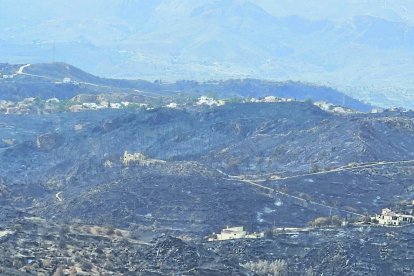 Terrenos calcinados por el incendio de Bédar y Los Gallardos