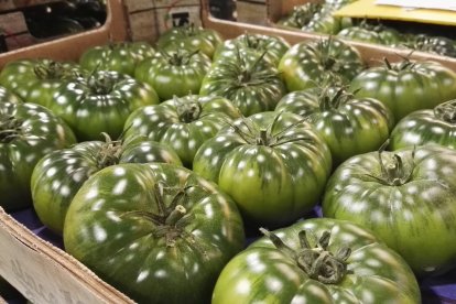 El tomate raf alcanza en estas fechas su máxima calidad